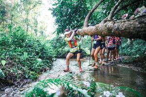 BIB: 
                            <button type="button" onclick="openModal(25444911)" class="btn btn-primary btn-sm float-right btn-popup" data-toggle="modal" data-target=".modal-high-quality">
                        <i class="fas fa-shopping-cart"></i> Add to Cart
                    </button>
                                            <button type="button" onclick="isThisMe(25444911, true)" class="btn btn-success btn-sm float-right btn-popup btn-isme hidden" data-toggle="tooltip" data-placement="bottom" title="นี่คือรูปของคุณใช่ไหม คลิกที่นี่เพื่อเอาเข้าอัลบั้ม">
                        <i class="fas fa-plus"></i> Add to album
                    </button>
                    <button type="button" onclick="isThisMe(25444911, false)" class="btn btn-warning btn-sm float-right btn-popup btn-isnotme hidden">
                        <i class="fas fa-ban"></i> Remove from album
                    </button>